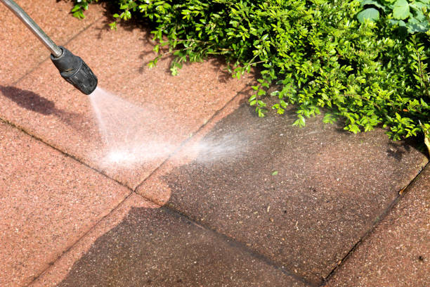 Best Power Washing Near Me  in Lexington, WA